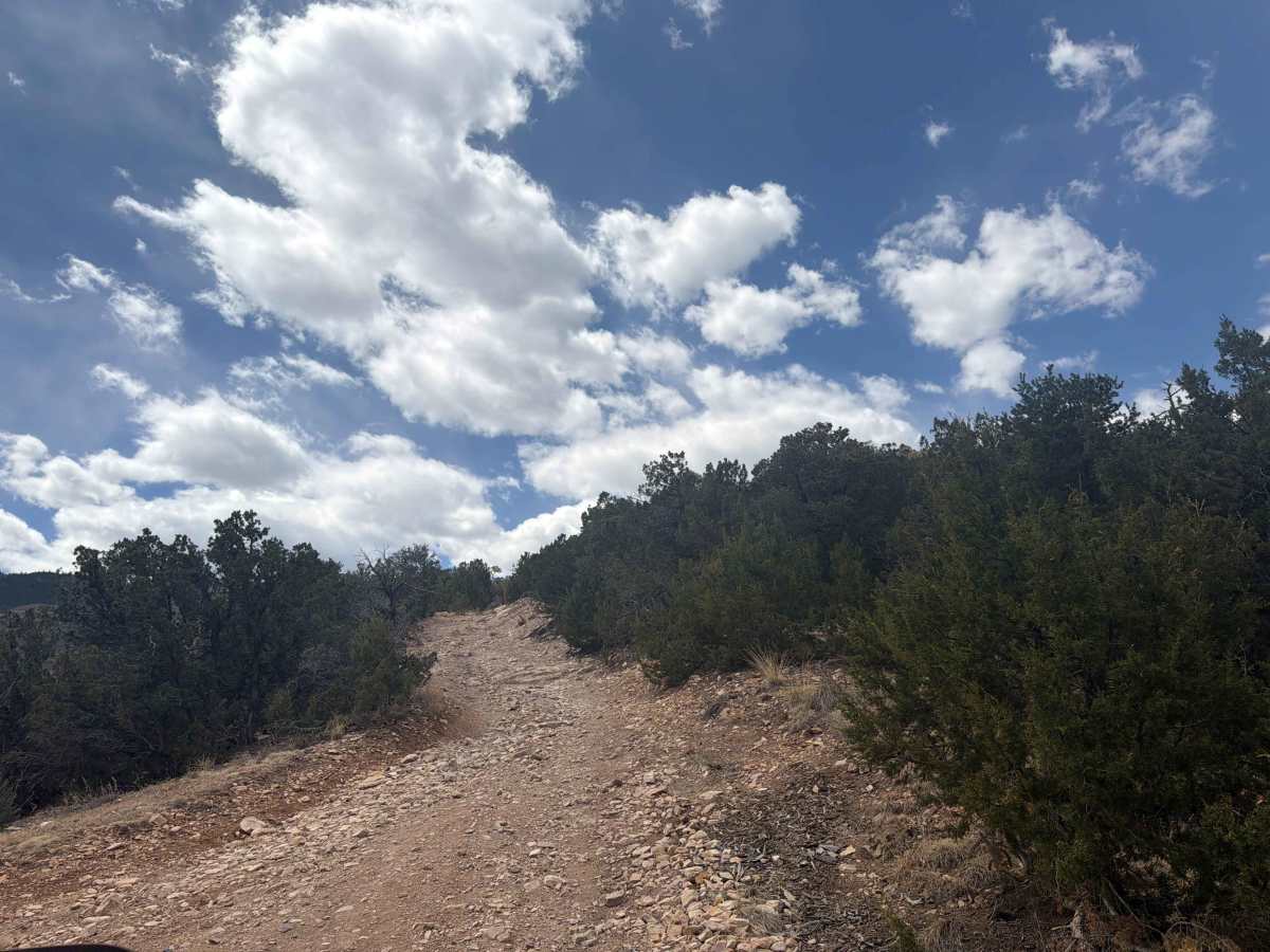 BLM 6181 photo 4
