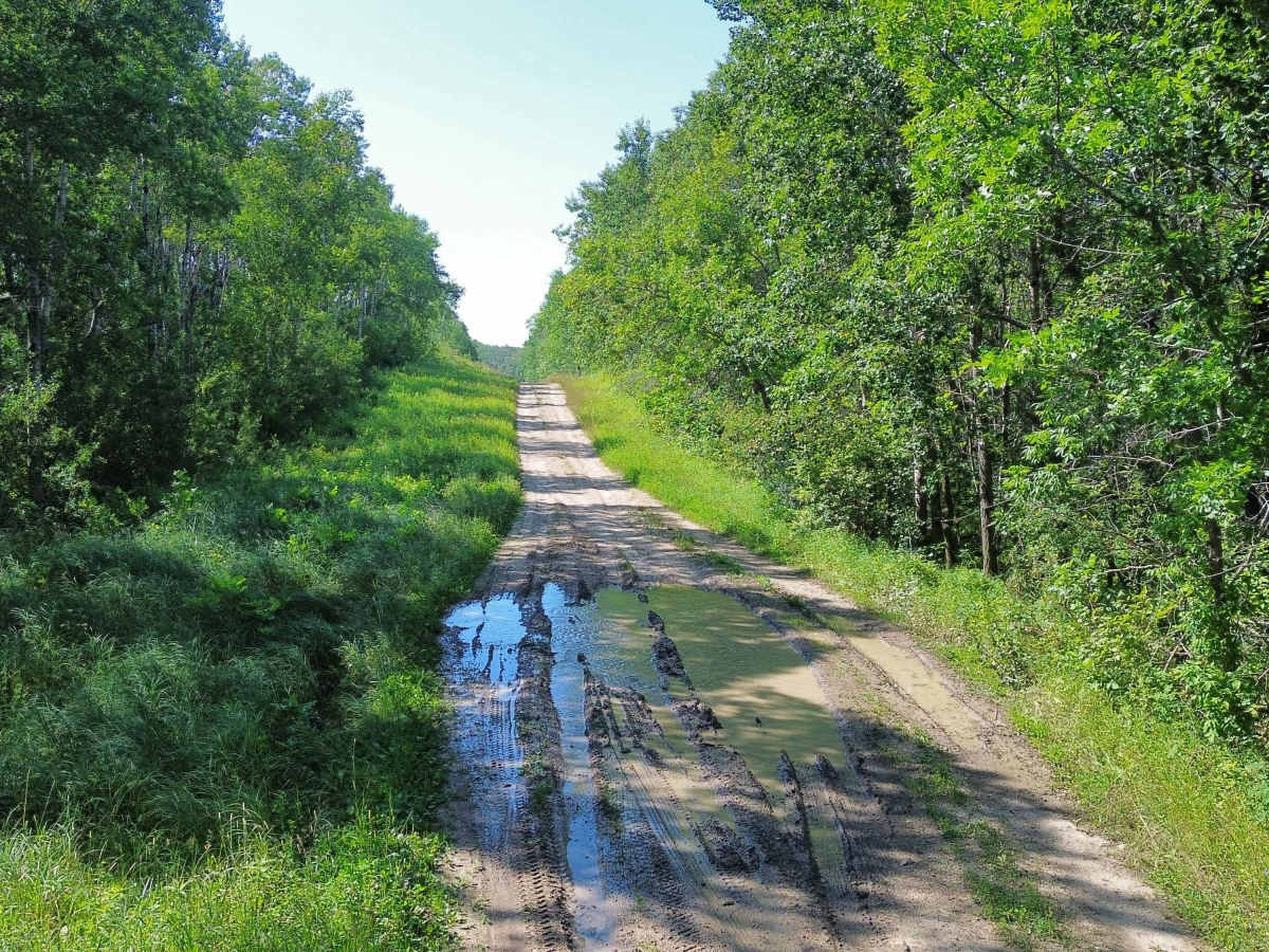 Centre Road - Moose Mountain Provincial Park trail photo