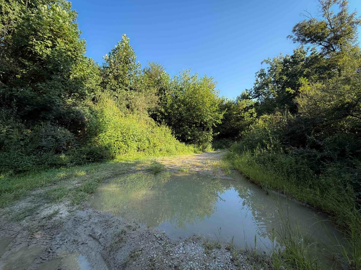 Hunter Access Pond Road  photo 2