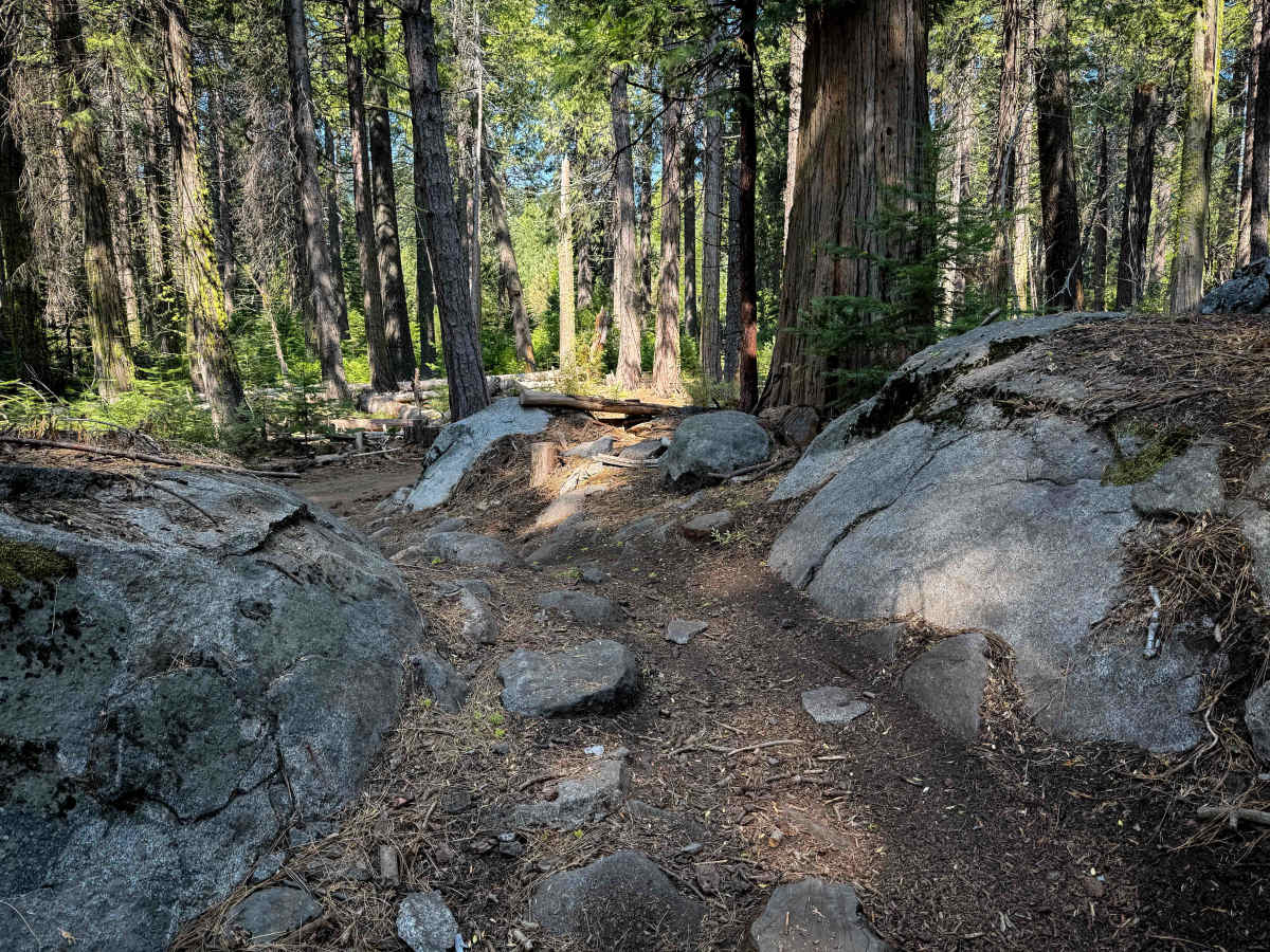 23E298 trail photo