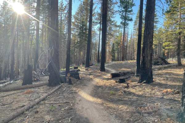 Incense Cedar Trail