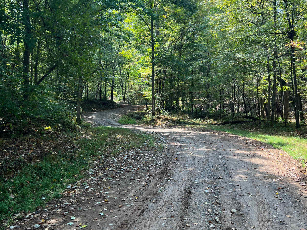 Shaw Branch Road photo 3