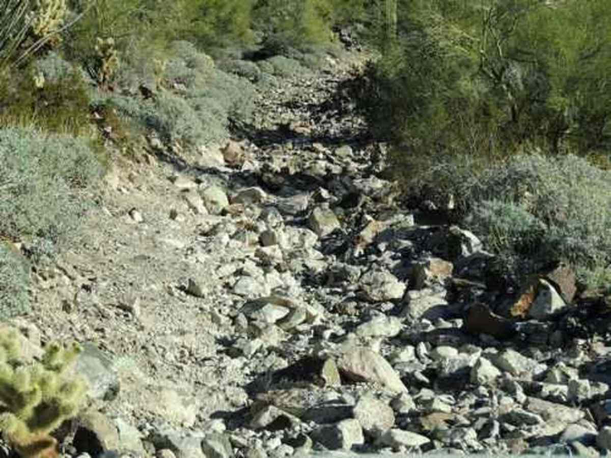 Pack 4WD trail photo