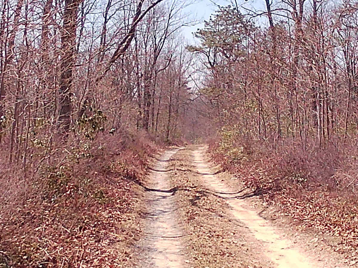 Turkey Call Lane photo 3