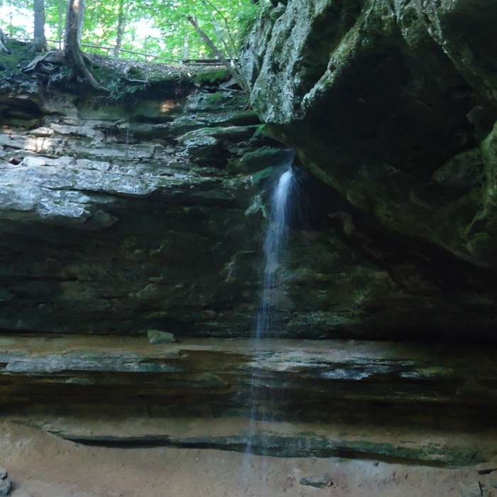 Near Escarpment Trail