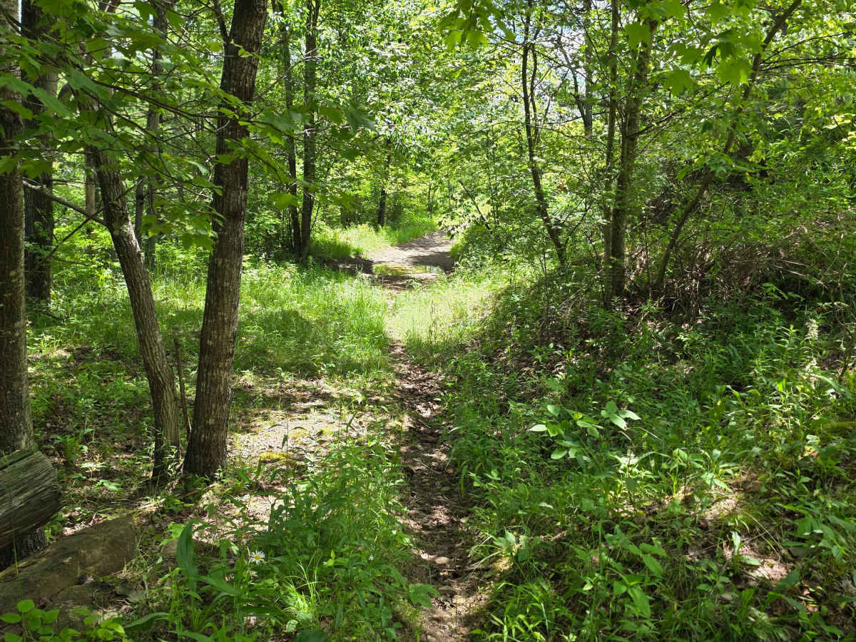 Single Track AC trail photo