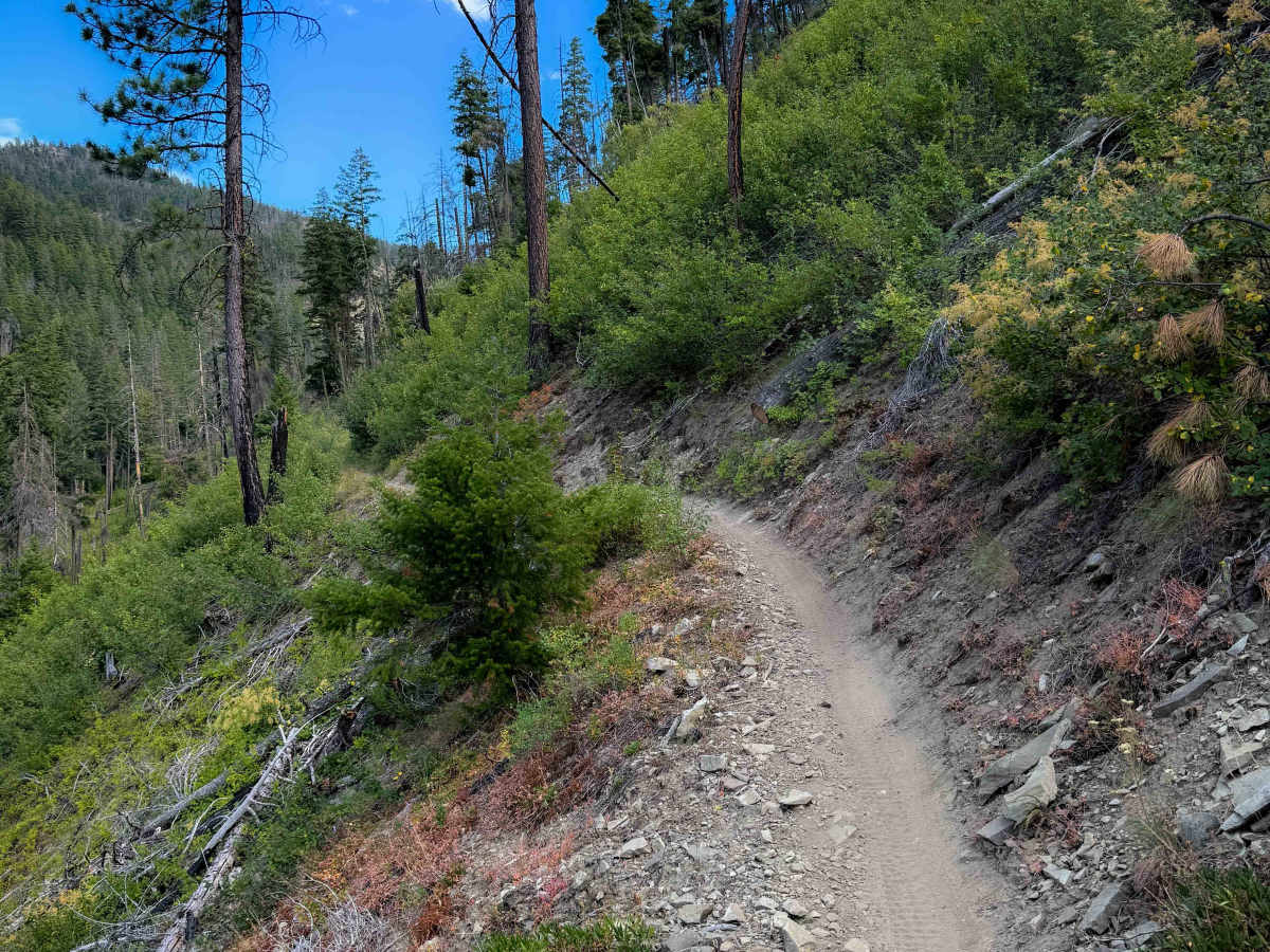 Devil’s Gulch - FS 1220 photo 5