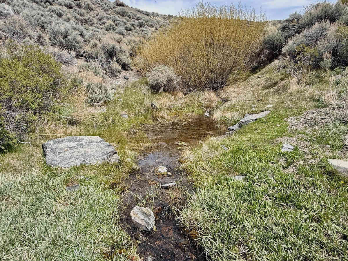 Cottonwood Canyon photo 2
