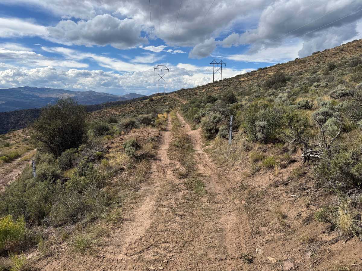 Tames Creek trail photo