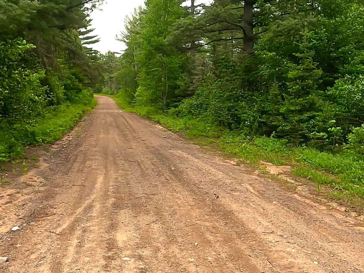 County Road CVV trail photo
