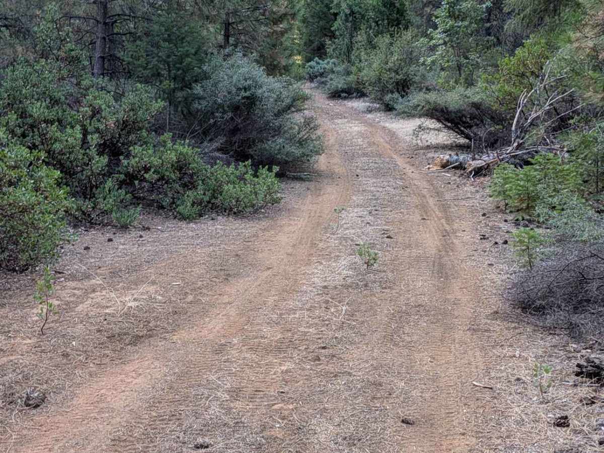 Skip Road - FS 1N28 trail photo
