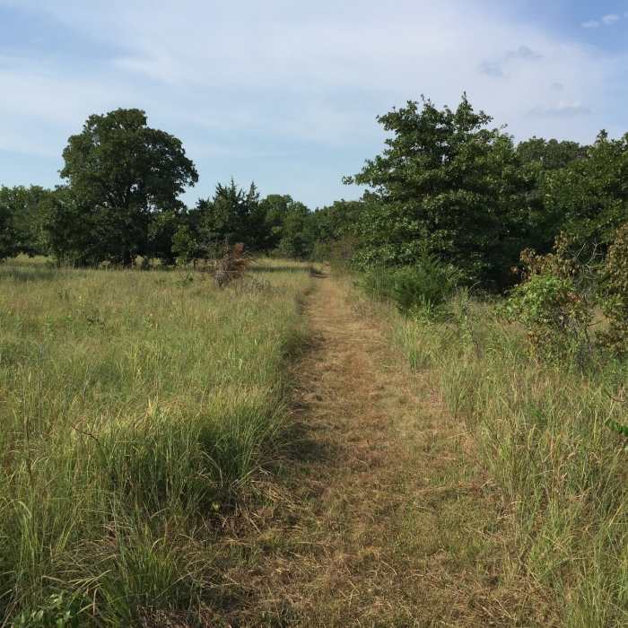 Near Chautauqua Hills: Blue Loop