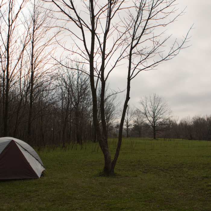 Near Hardwood Trail