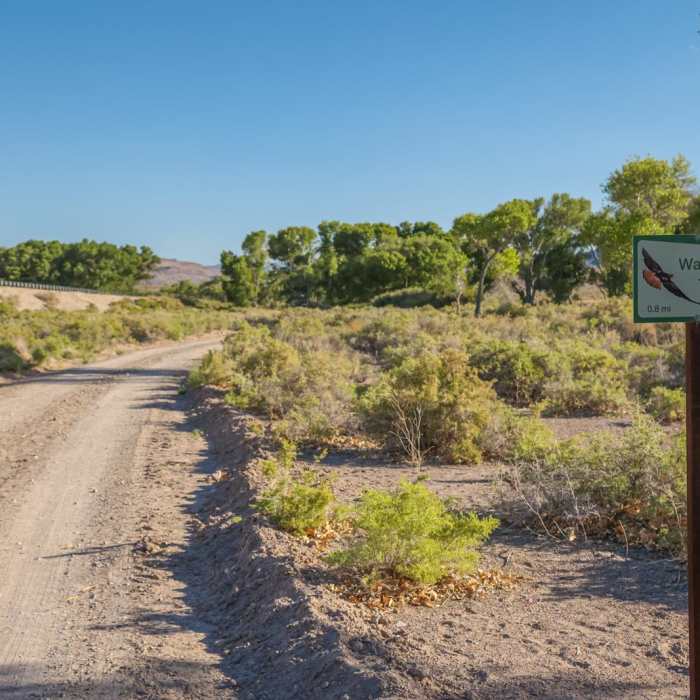 Near Waterway-Davenport Loop Near Waterway-Davenport Loop