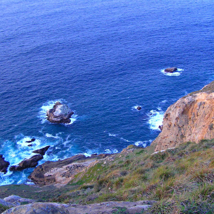 Near Point Reyes Lighthouse Trail