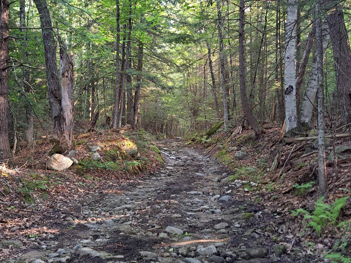Lovejoy Brook Rd / Kilton Rd photo 6