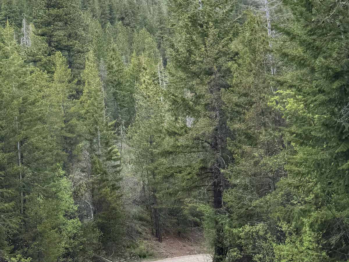 Black Canyon Road - FS 4010 photo 4