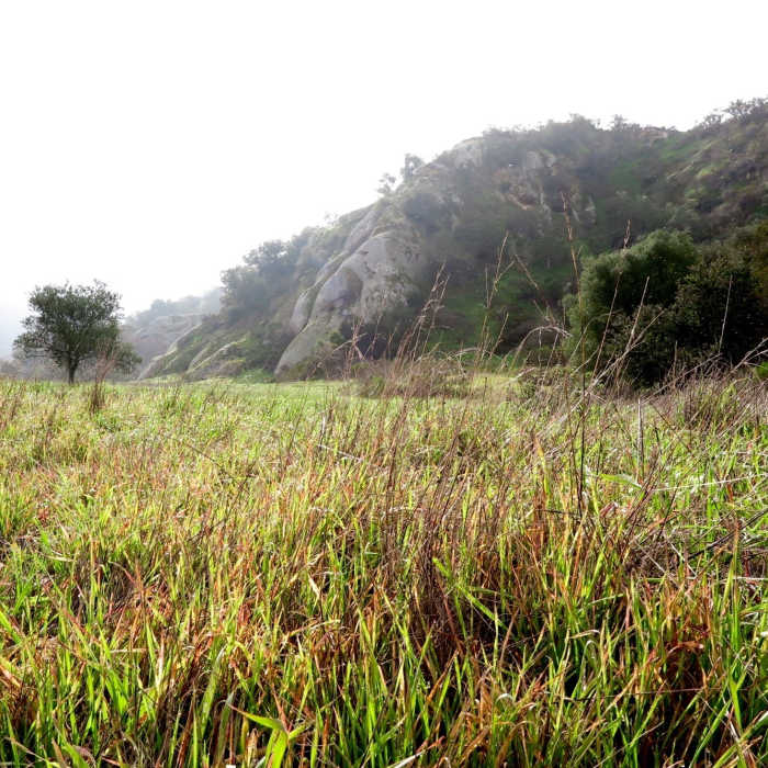 Near Stagecoach South Intermediate Loop