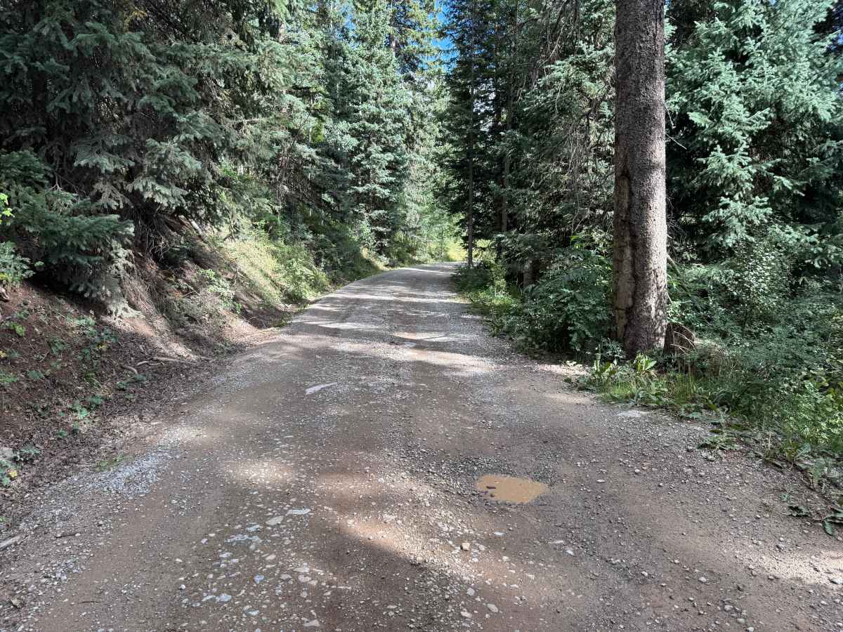 County Road 579 photo 3