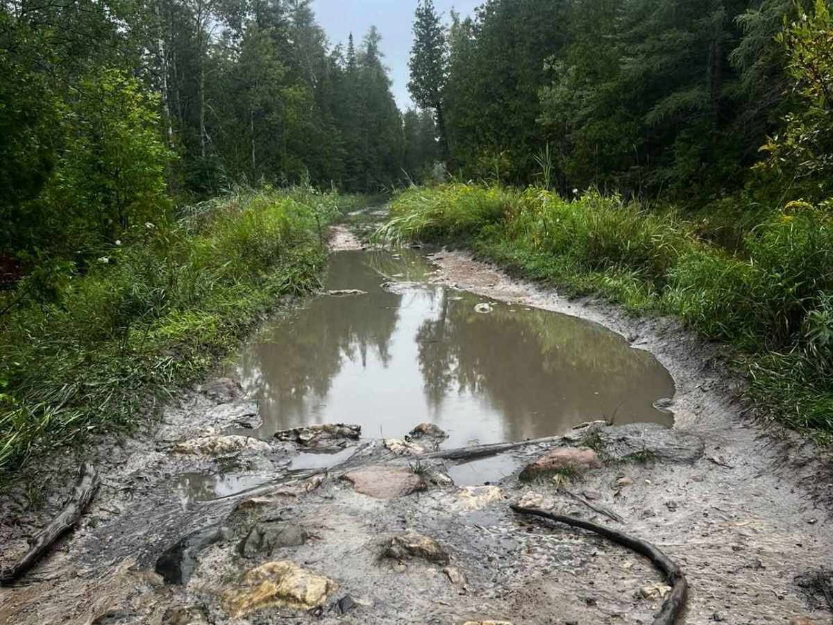 Dave Lauer Memorial Trail trail photo