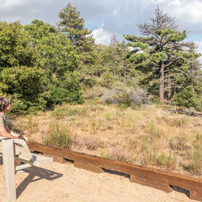 Near Desert View Trail via Burnt Rancheria Campground