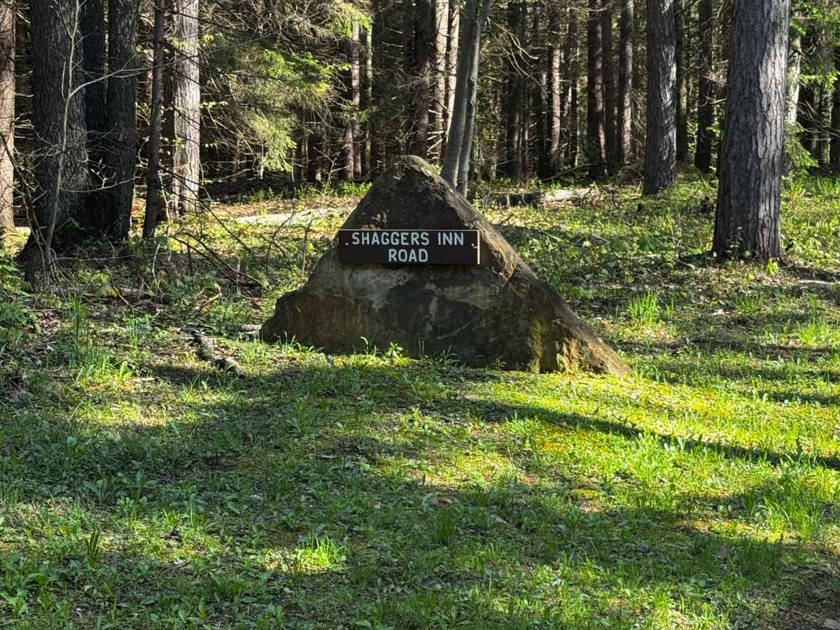 Shaggers Inn Road trail photo