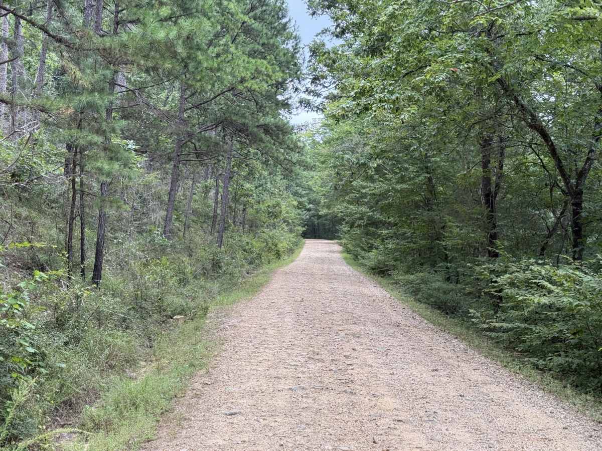 Polk County Road 633 photo 2