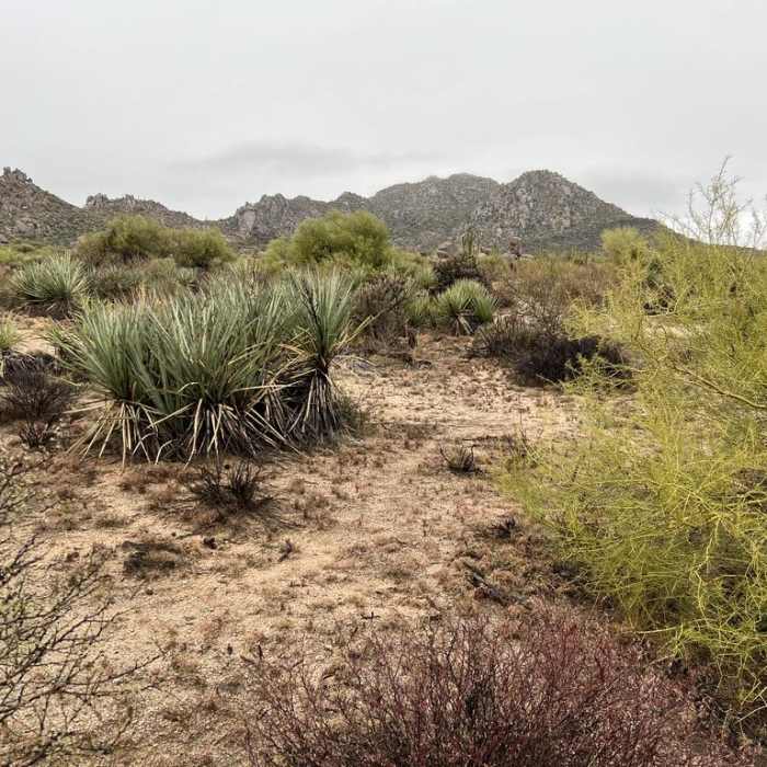 Near Coyote Canyon Loop
