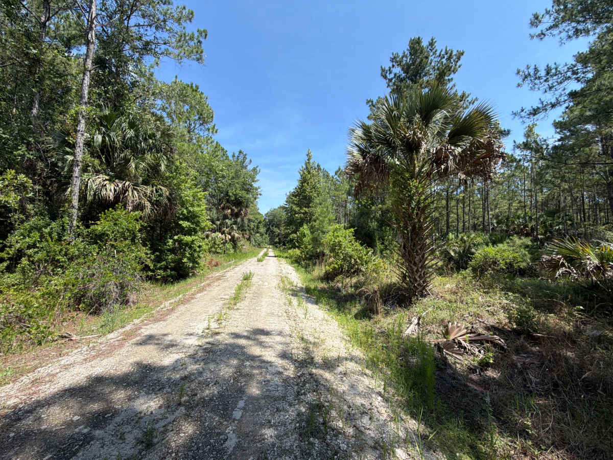 Marsh Road photo 2