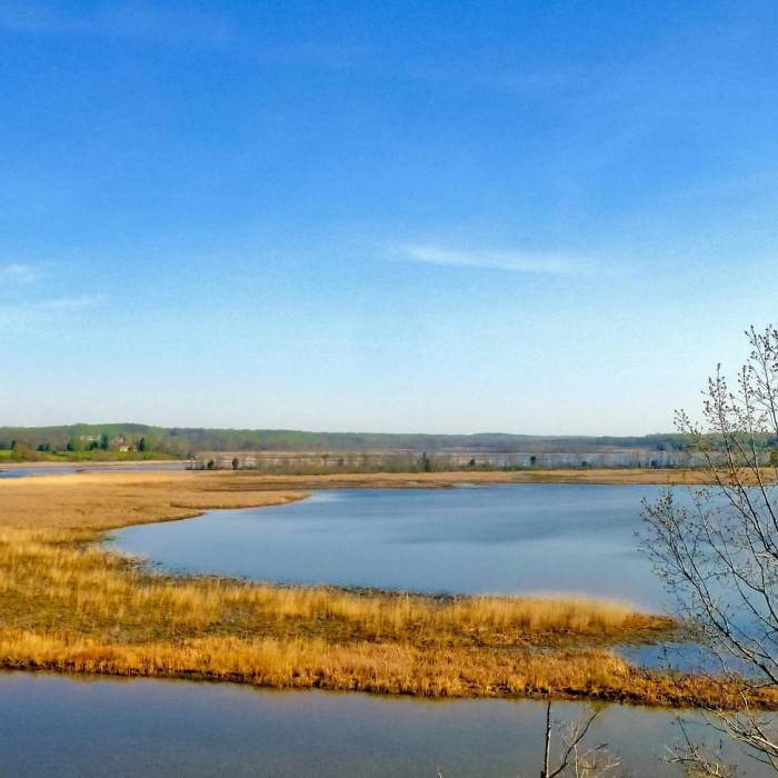 Patuxent River Park Apr 11, 2017, 8-16 AM_edit Near Jug Bay Tour