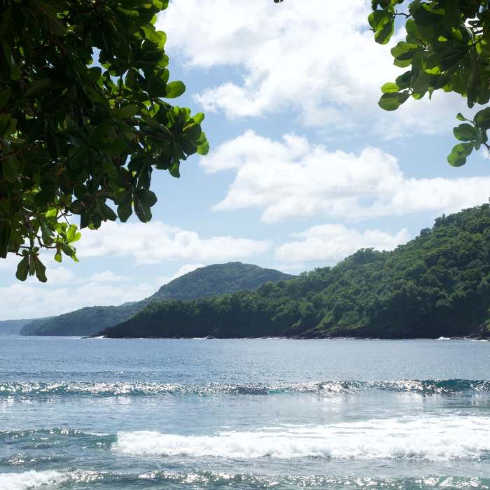 Near Pola Island Trail