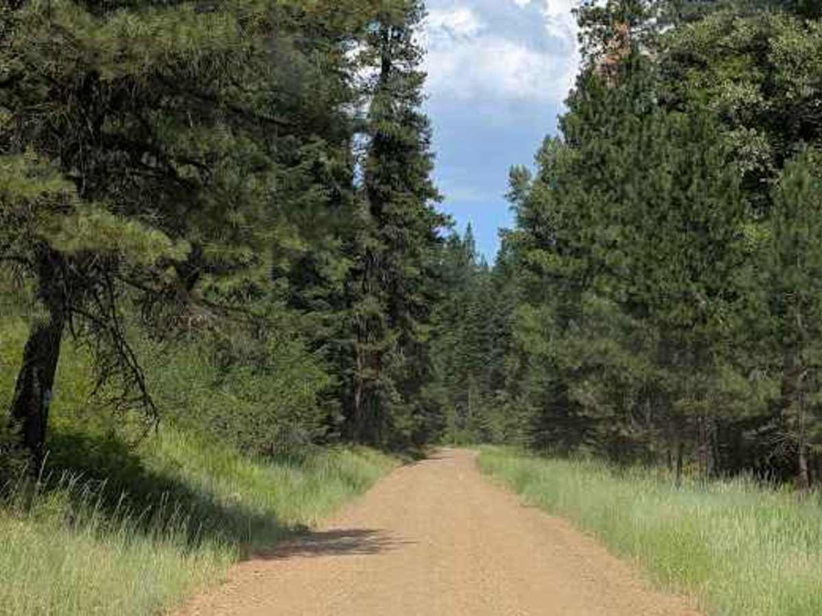 Iron Creek - FS 9714  trail photo