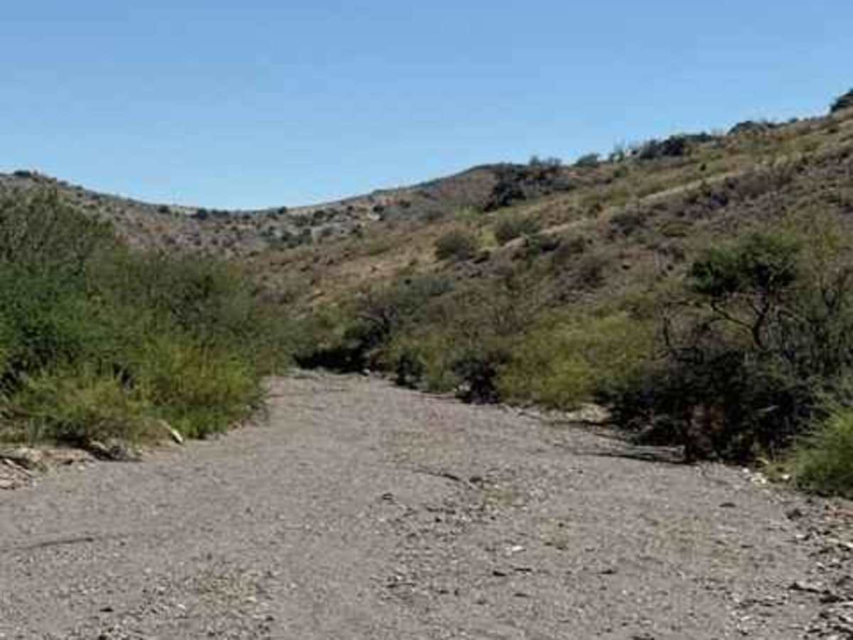 SS1167 photo 3