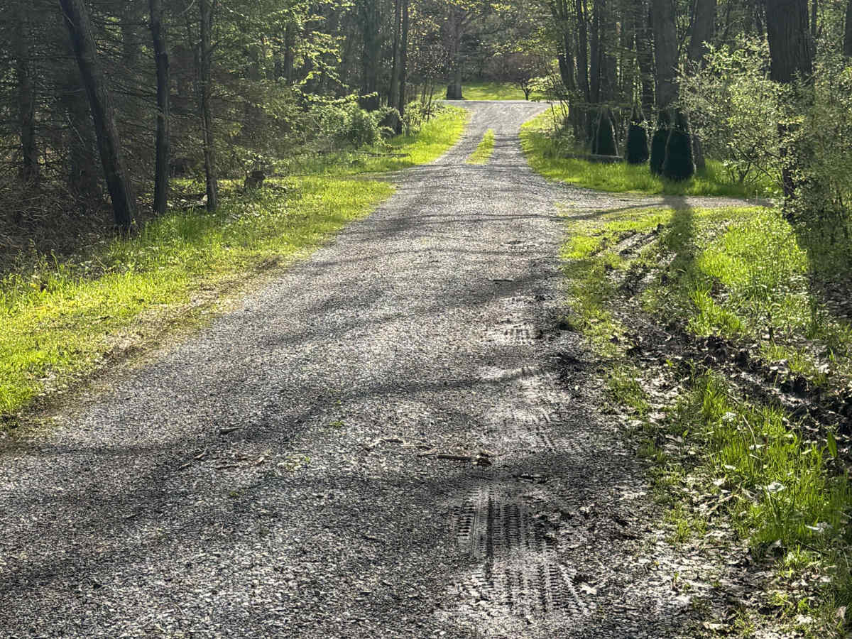 Bark Camp Road photo 3