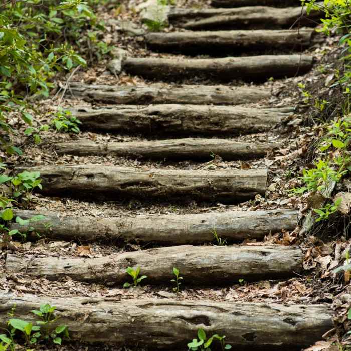 Near Bearwallow Mountain