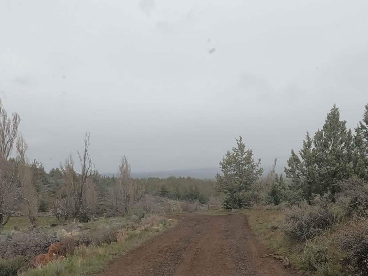 Gray Butte - NF-5700 photo 4