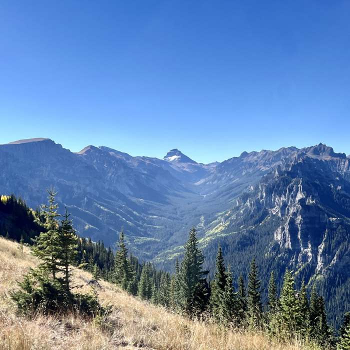 Near Alpine Trail- Silver Jack Segment