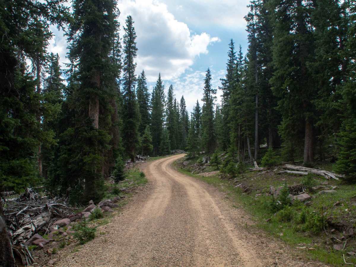 Paradise Park Reservoir Access - FS 10752 photo 4