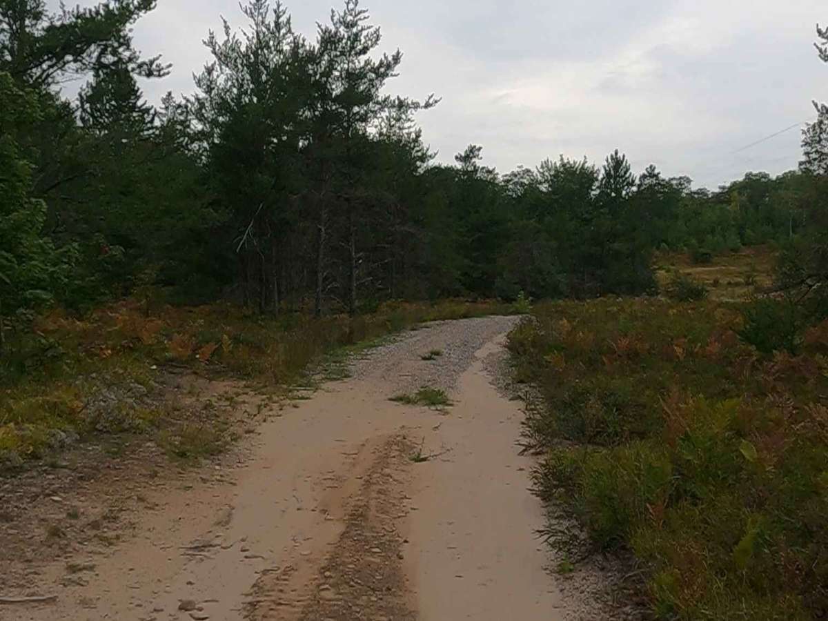 Sandhill - FS 3697 trail photo