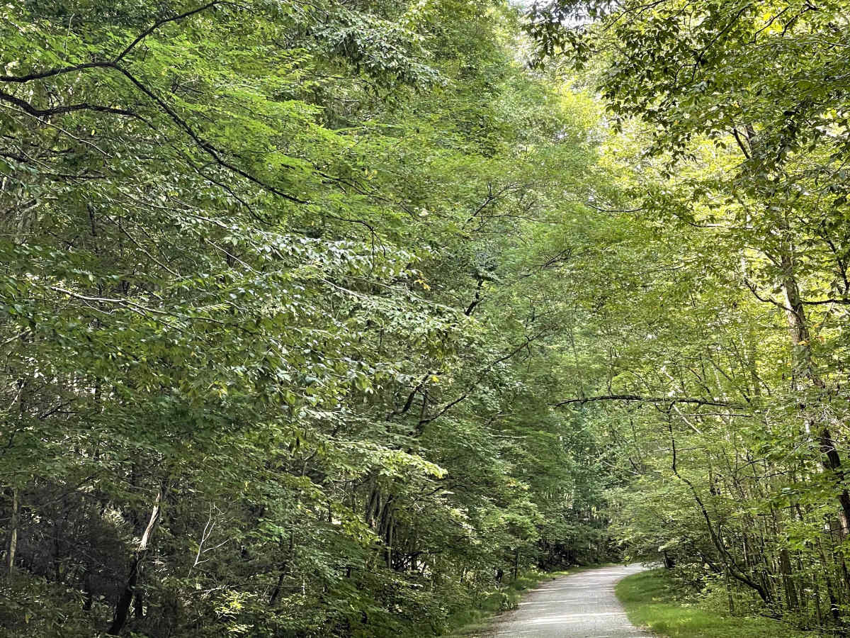 White Rocks Campground trail photo