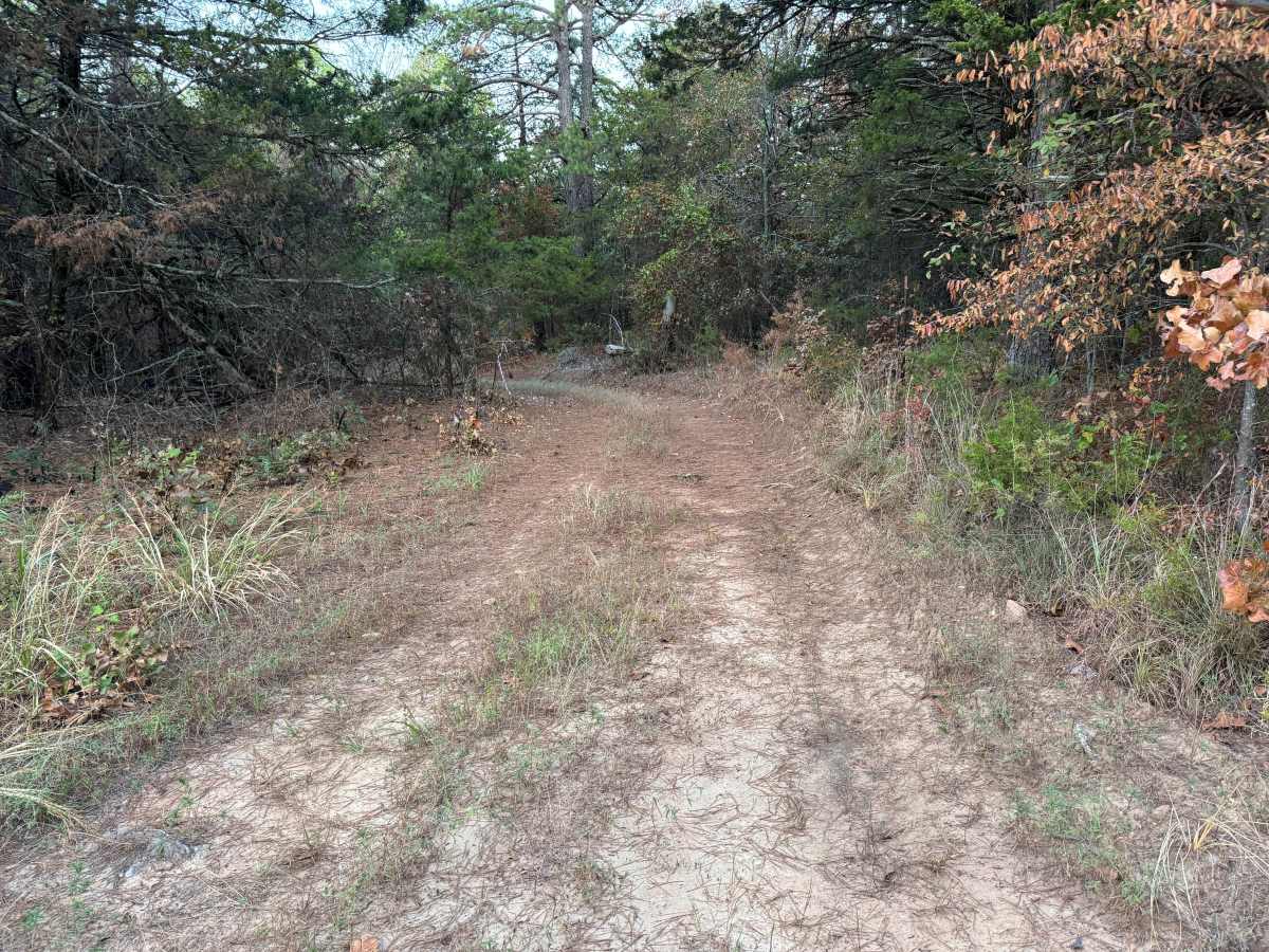 FS 1669A photo 2