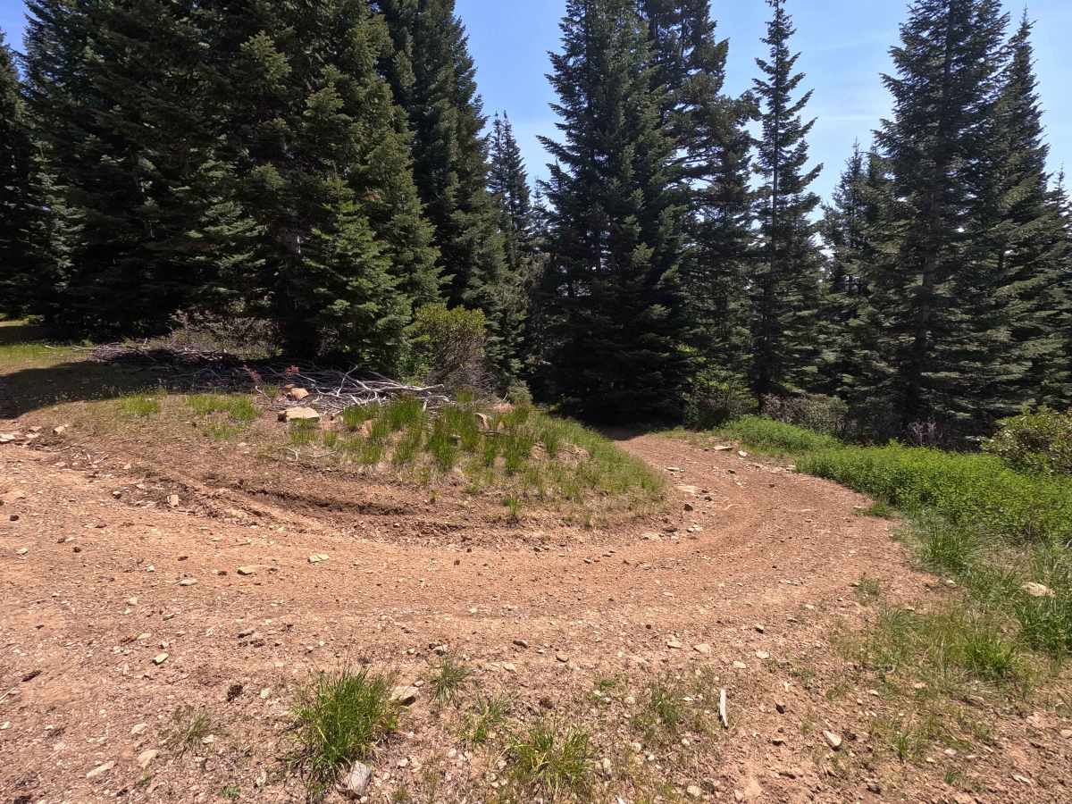 Old Mill - Trail 207 photo 2