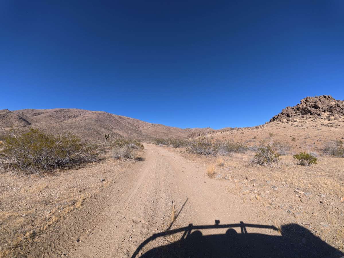 BLM SV2635 photo 4