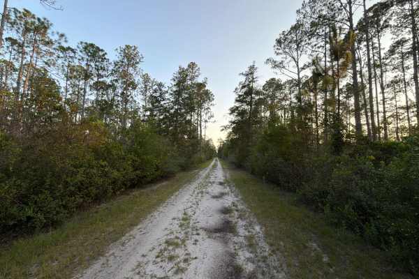 Trout Creek Road