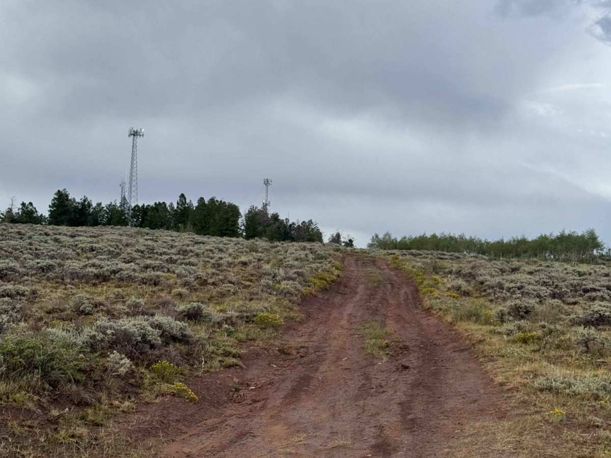 Tower North Access Road photo 4