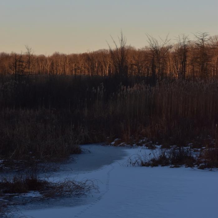 Seven Ponds Trail Near Seven Ponds Trail