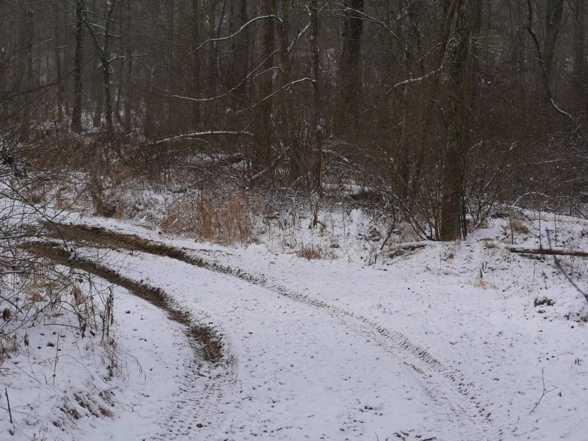 Trail 16 photo 5