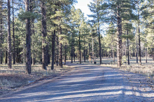Dogtown Trail