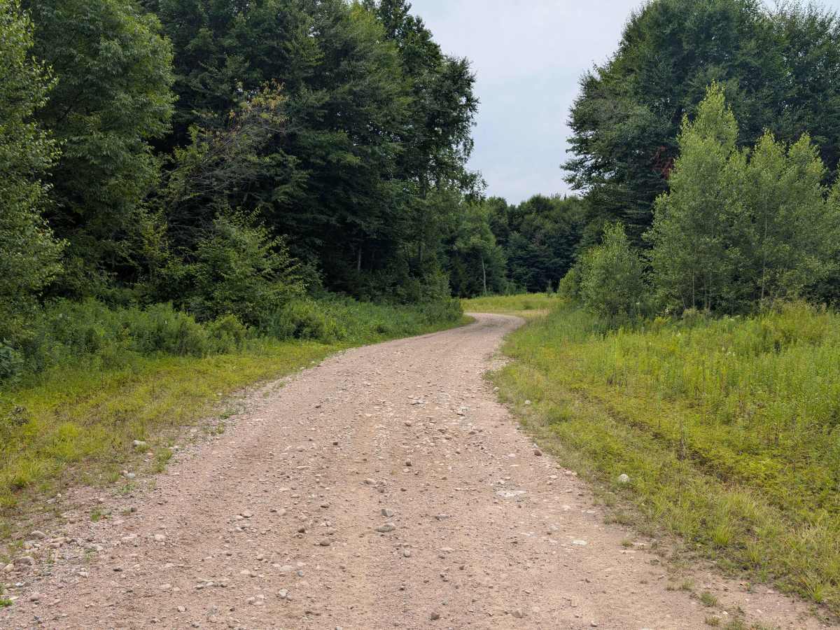 Goldmine Road photo 5