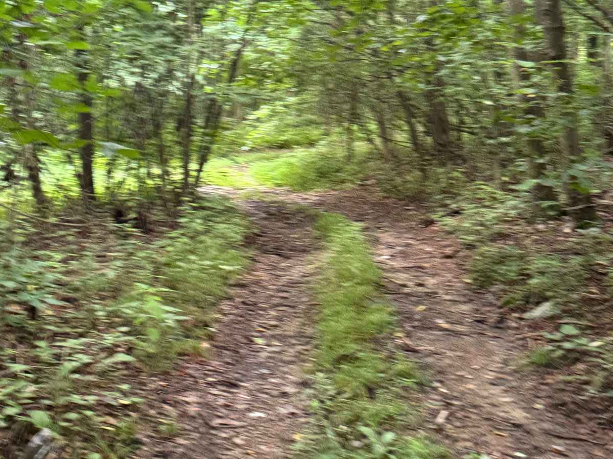 Trail 83 photo 4